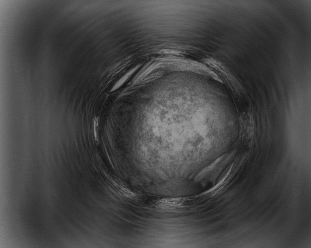 X0000052640094200507160208