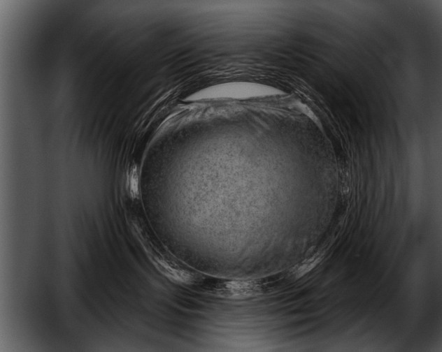 X0000052640095200507160208