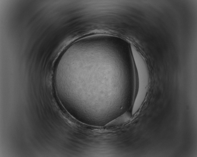 X0000052640098200507160207