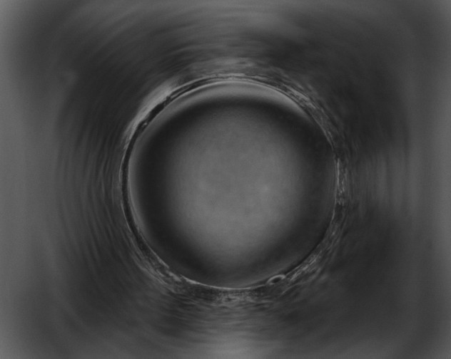 X0000052640099200507160207