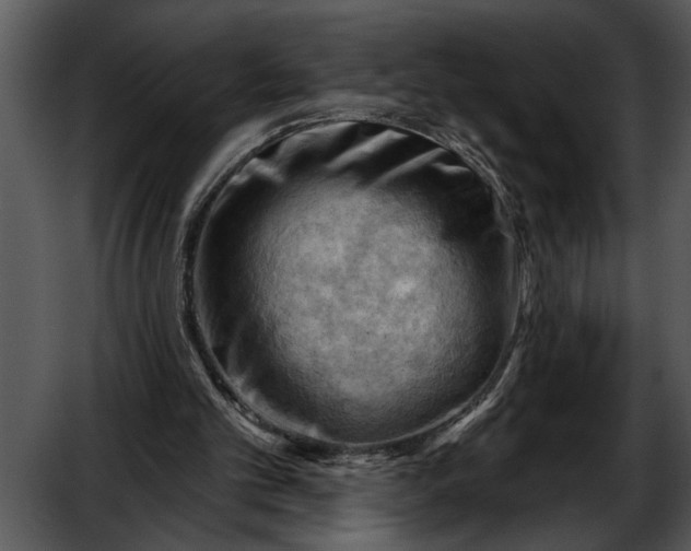 X0000052640101200507160207