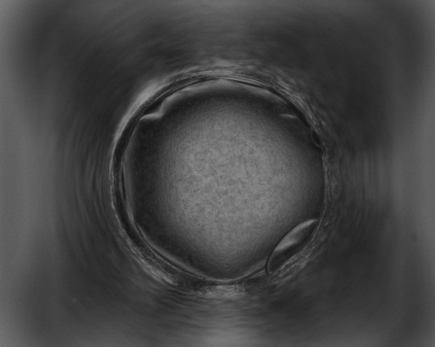 X0000052640102200507160207