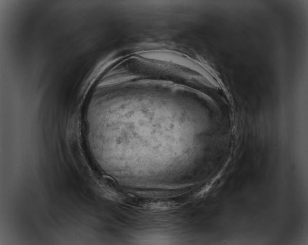 X0000052640103200507160207