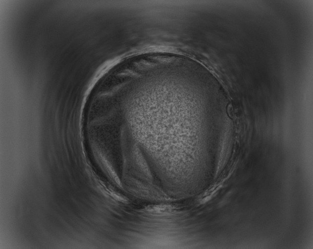 X0000052640104200507160207