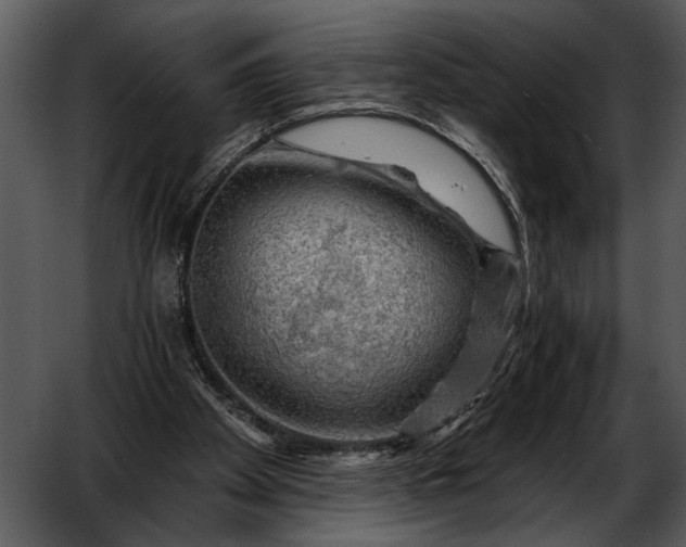 X0000052640105200507160207