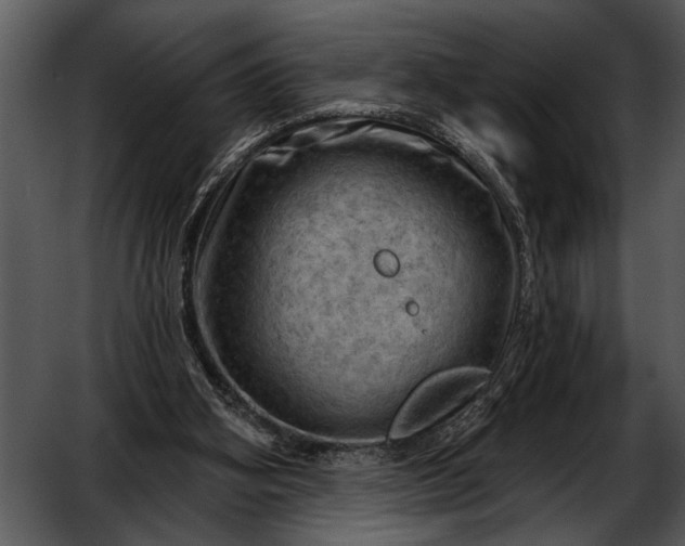 X0000052640106200507160207