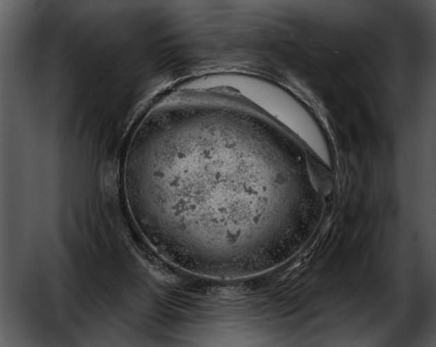 X0000052640107200507160207