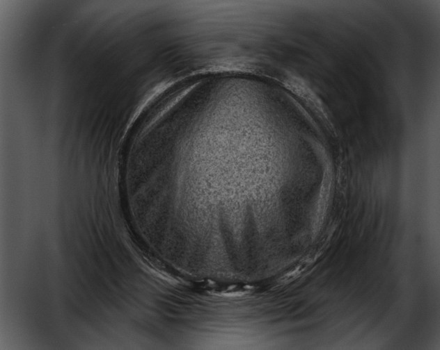 X0000052640108200507160207