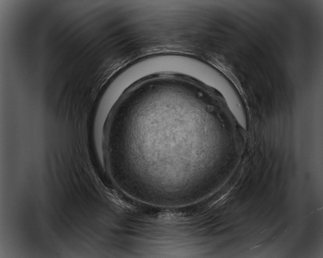 X0000052640109200507160207