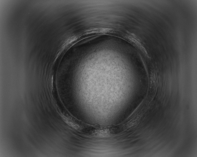 X0000052640110200507160207