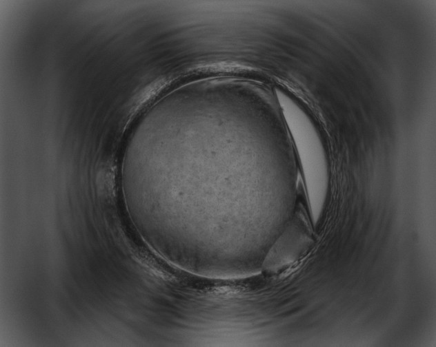 X0000052640111200507160207