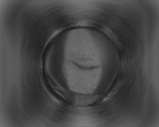 X0000052640112200507160207