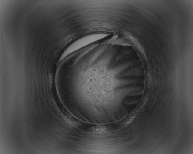 X0000052640113200507160207