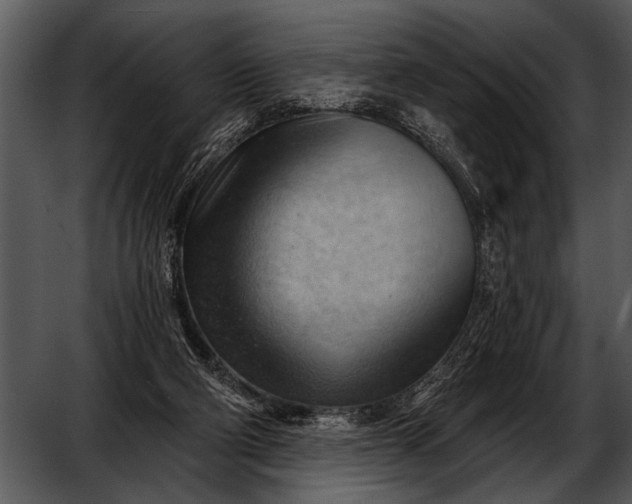 X0000052640114200507160207