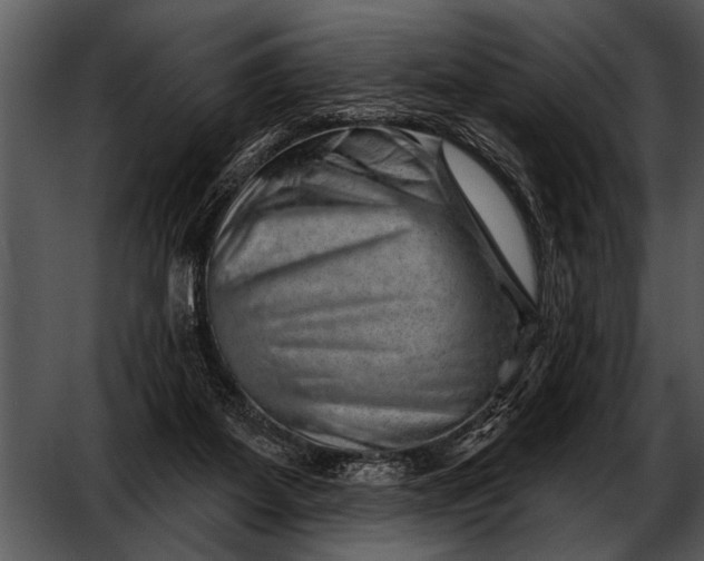 X0000052640115200507160207