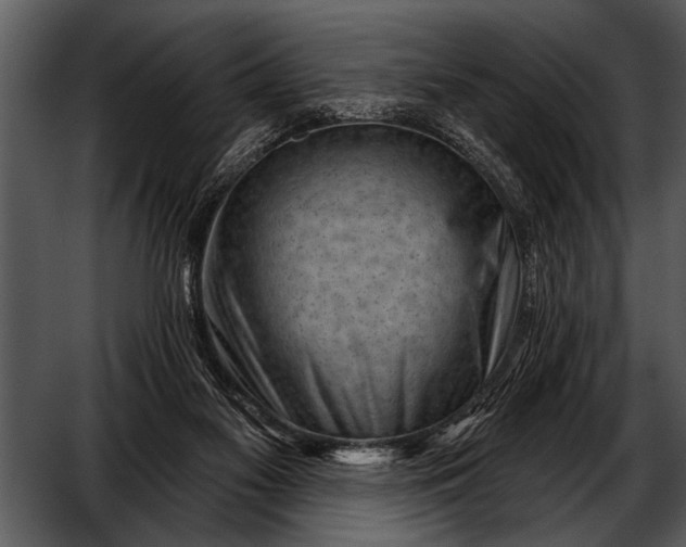 X0000052640117200507160207