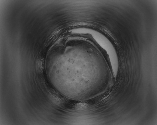 X0000052640119200507160207