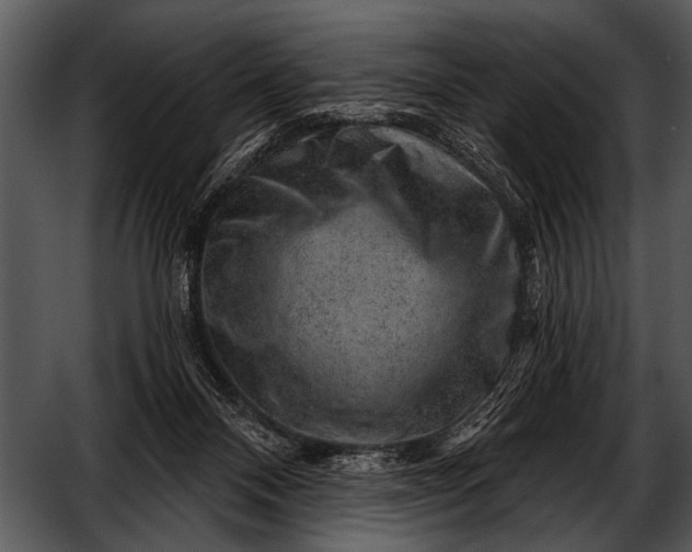 X0000052640120200507160207