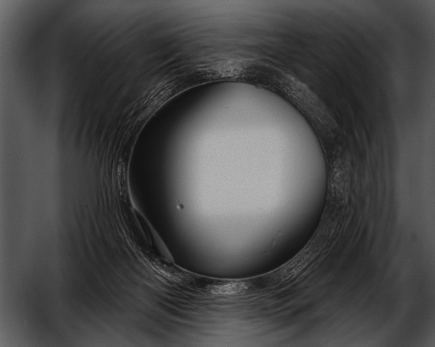 X0000052640122200507160207