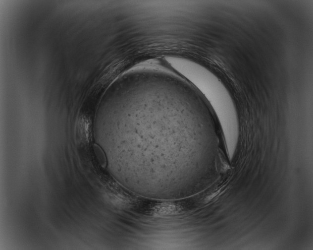 X0000052640123200507160207