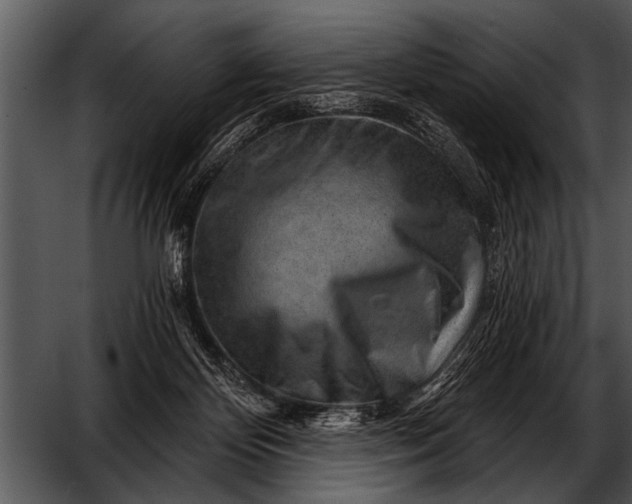 X0000052640124200507160207