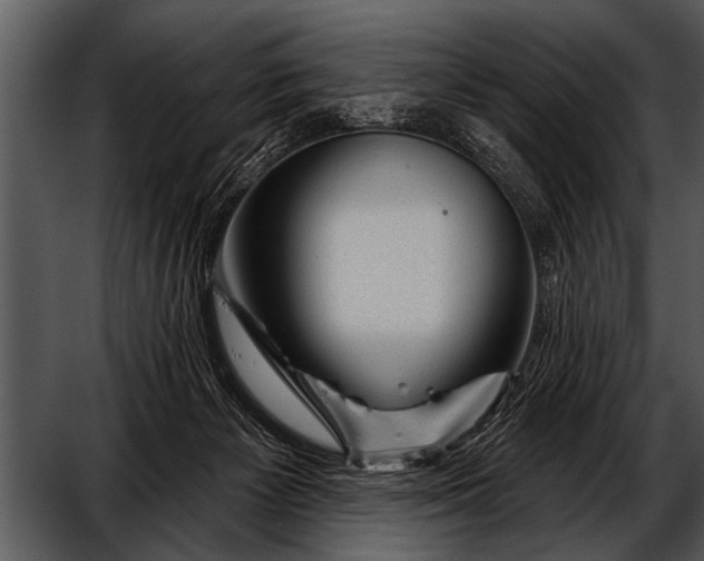 X0000052640125200507160207