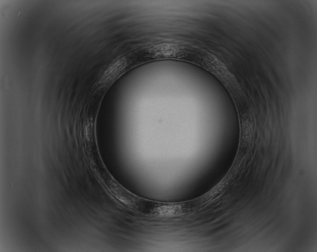 X0000052640126200507160207