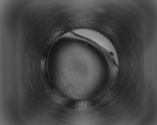 X0000052640127200507160207