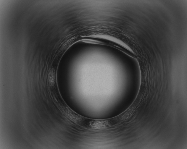 X0000052640129200507160207