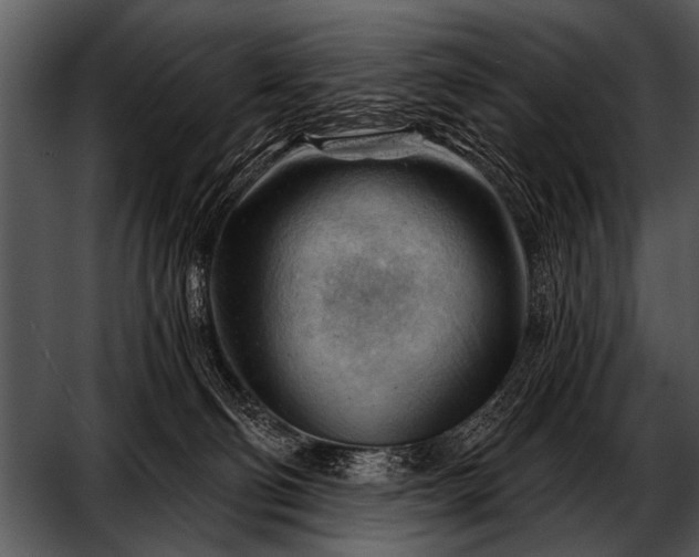 X0000052640130200507160207