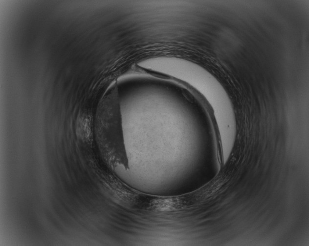 X0000052640131200507160207