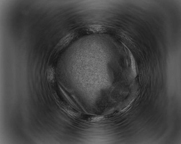 X0000052640132200507160207