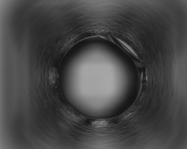 X0000052640133200507160207