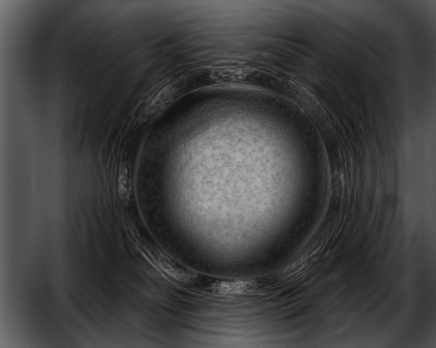 X0000052640134200507160207