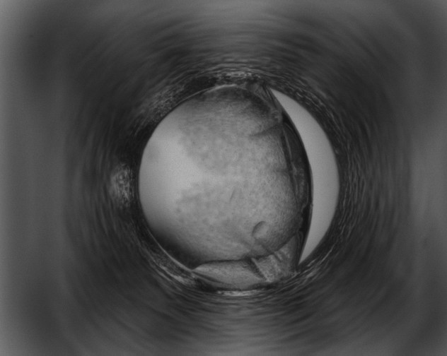 X0000052640135200507160207