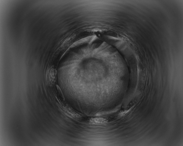 X0000052640137200507160207