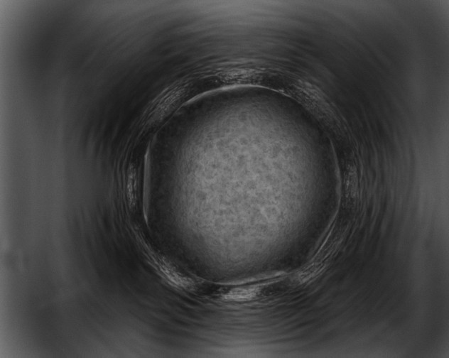 X0000052640138200507160207