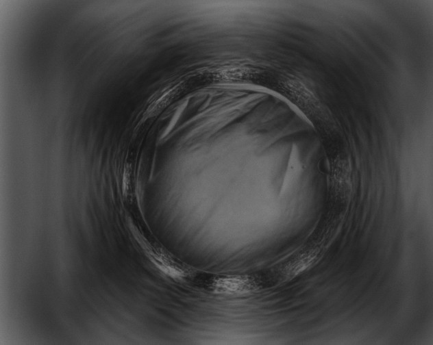 X0000052640139200507160207