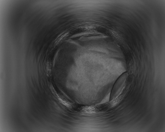 X0000052640140200507160206