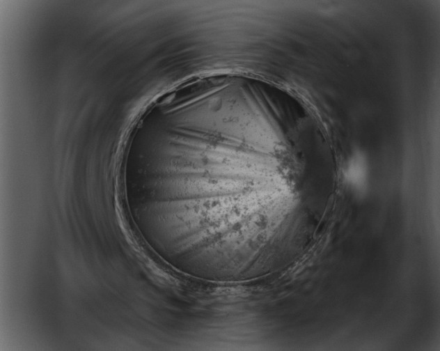 X0000052640145200507160206