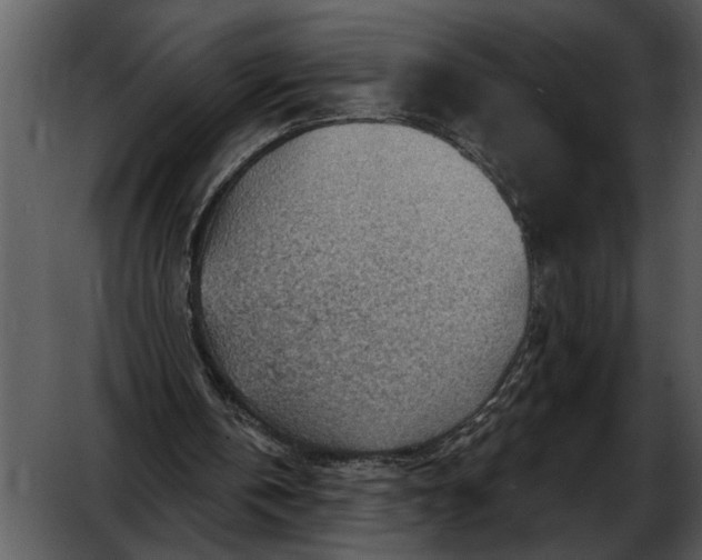 X0000052640146200507160206