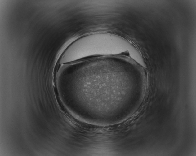 X0000052640147200507160206