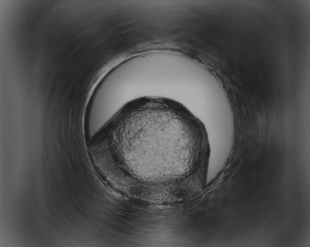 X0000052640148200507160206