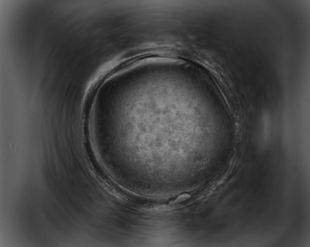 X0000052640149200507160206