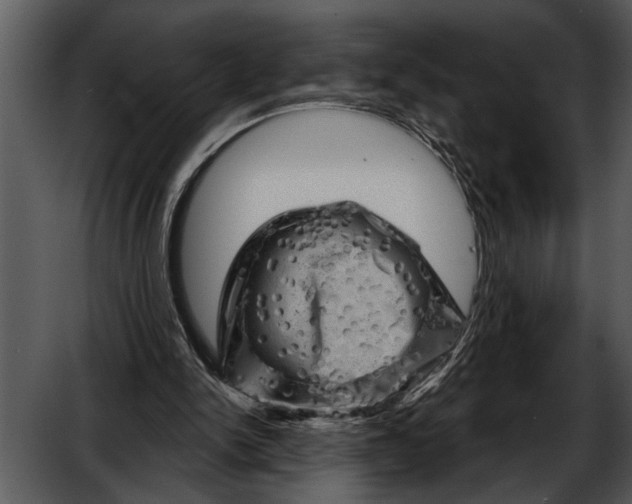 X0000052640150200507160206