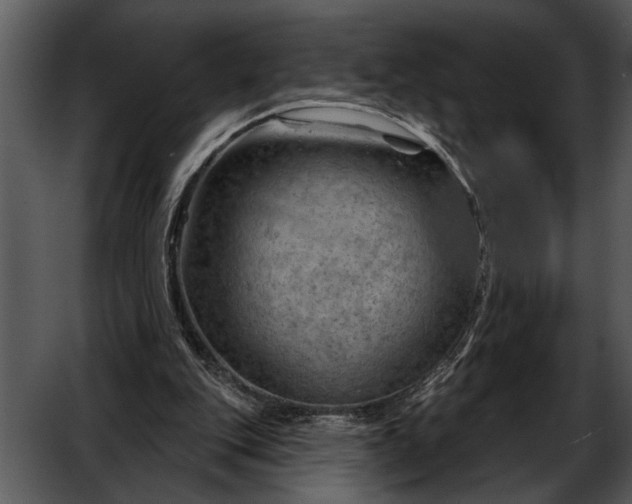 X0000052640151200507160206