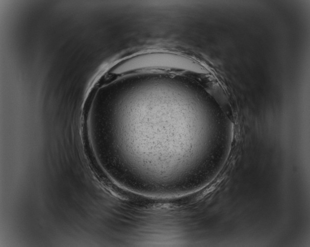 X0000052640152200507160206