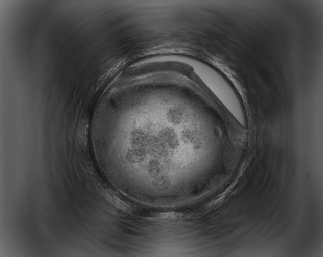 X0000052640153200507160206