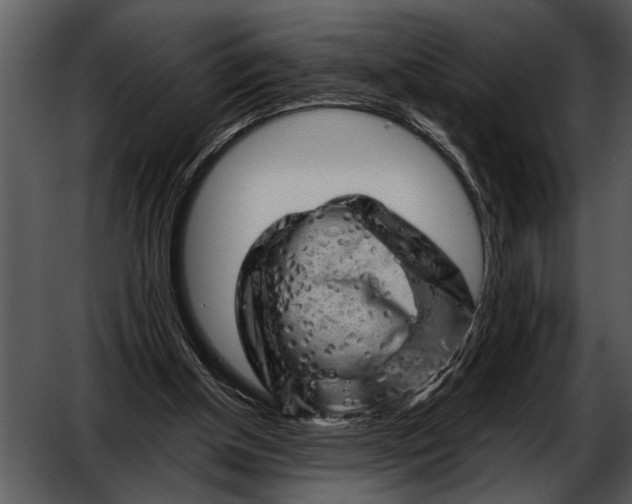 X0000052640154200507160206