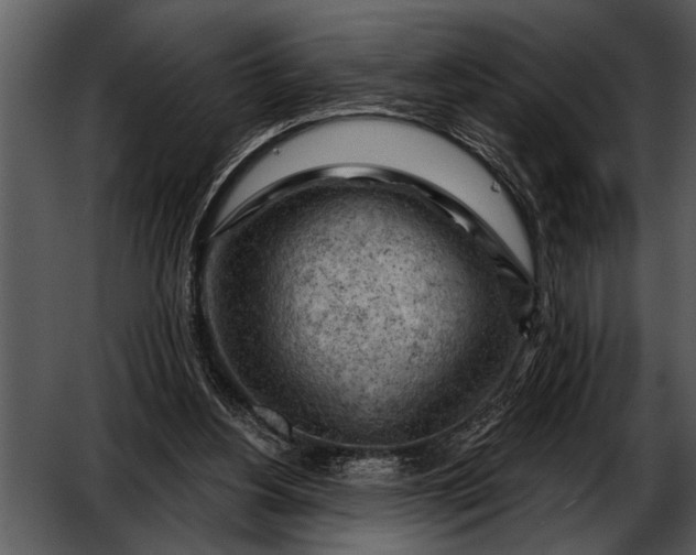 X0000052640156200507160206